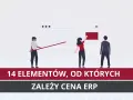 Trzy postacie analizują dane na ekranie, sugerując kluczowe elementy wpływające na cenę systemu Oracle ERP.