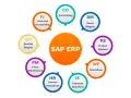 Schemat modułów SAP ERP: FI, CO, AM, PS, WF, IS, HR, PM, QM.