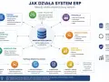 Schemat działania systemu ERP, ukazujący moduły (finanse, kadry, produkcja, zakupy, magazyn, sprzedaż, BI) połączone ze wspólną bazą danych. To kluczowy element sprawnego systemu zaopatrzenia.