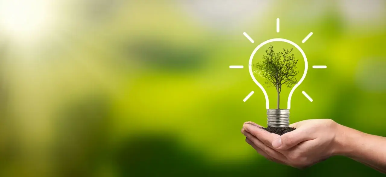 Dłoń trzyma żarówkę z drzewem w środku, symbolizującą zieloną energię. To jakby falownik co to jest, ale dla natury.