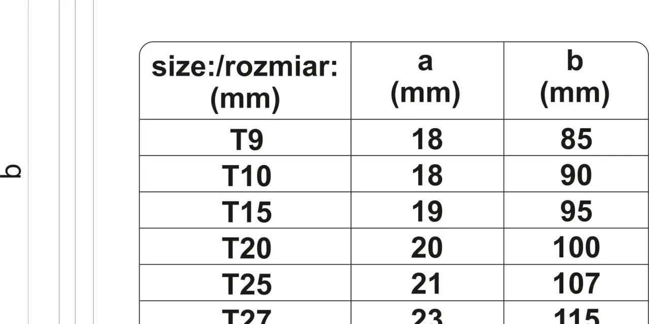 Tabela z różnymi rodzajami kluczy torx, od T9 do T40, wraz z ich wymiarami.