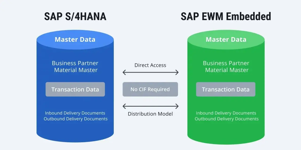 Porównanie SAP S/4HANA i SAP EWM Embedded: dane główne, transakcyjne i dokumenty dostaw. SAP BW zintegrowane.