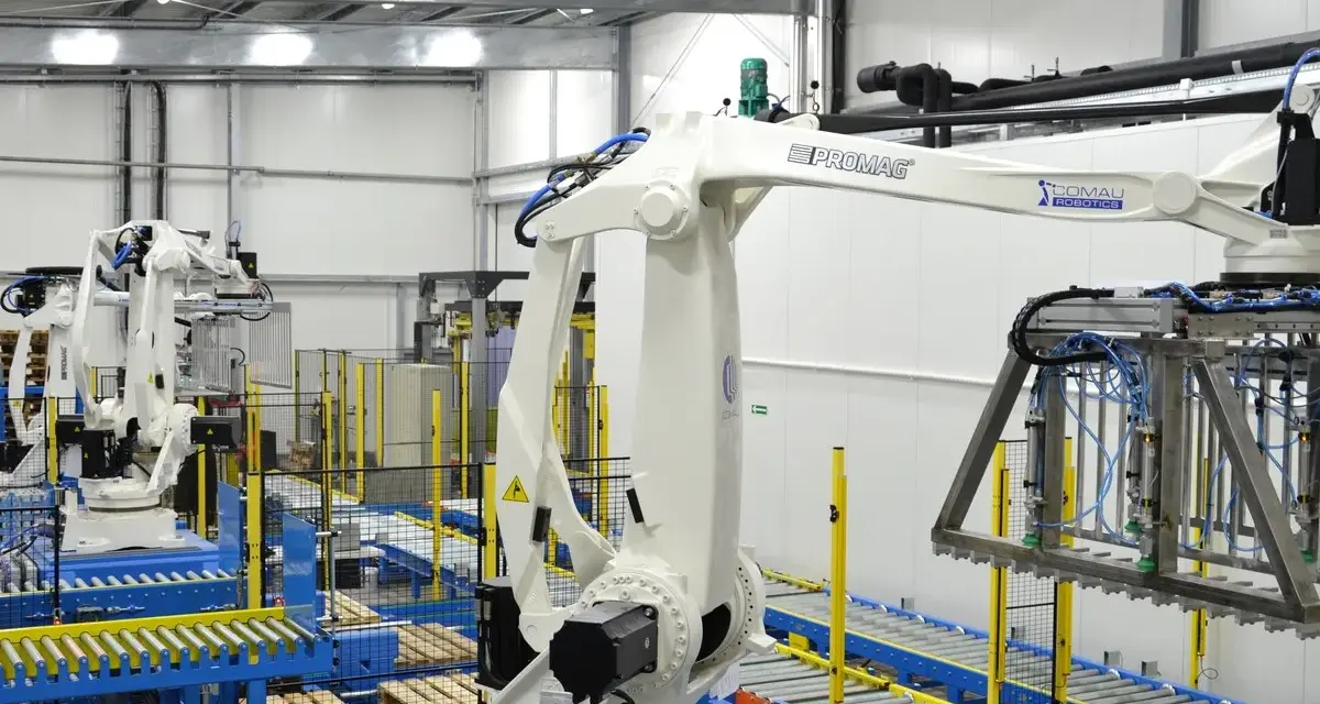 Nowoczesny magazyn automatyczny z robotami przemysłowymi. Taśmociągi i palety z produktami.