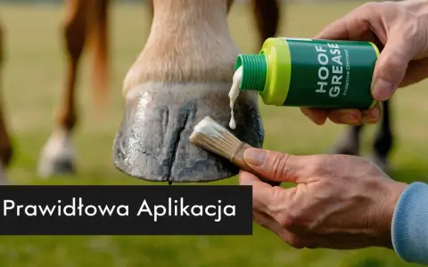 Aplikacja smaru stałego na kopyto konia pędzlem. Dbałość o zdrowie i kondycję zwierzęcia.