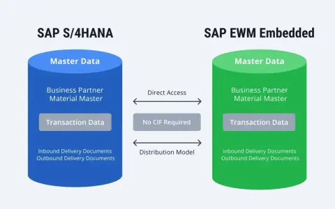 Porównanie SAP S/4HANA i SAP EWM Embedded: dane główne, transakcyjne i dokumenty dostaw. SAP BW zintegrowane.