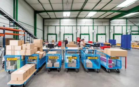 Pracownicy sortują paczki w magazynie, optymalizując przepustowość magazynu. Wózki z etykietami wskazują kierunki dostaw.