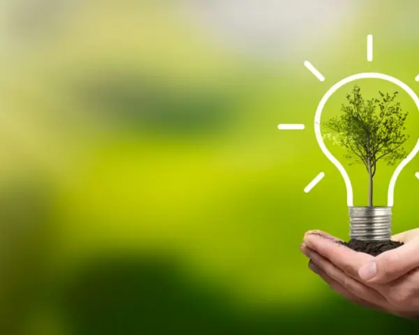 Dłoń trzyma żarówkę z drzewem w środku, symbolizującą zieloną energię. To jakby falownik co to jest, ale dla natury.