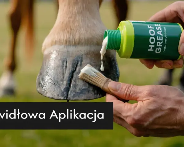 Aplikacja smaru stałego na kopyto konia pędzlem. Dbałość o zdrowie i kondycję zwierzęcia.