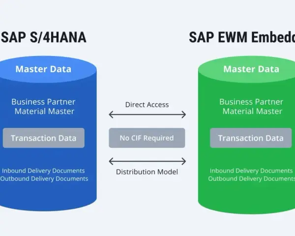 Porównanie SAP S/4HANA i SAP EWM Embedded: dane główne, transakcyjne i dokumenty dostaw. SAP BW zintegrowane.