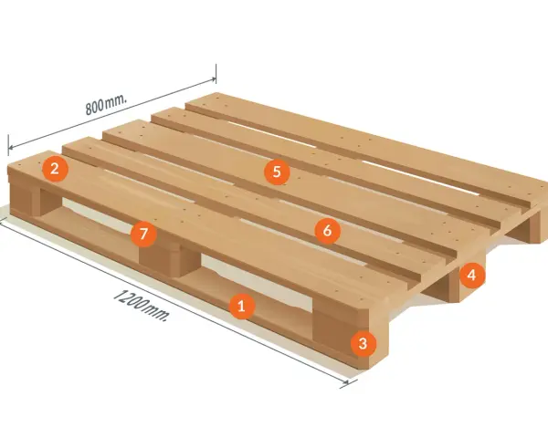 Standardowe rodzaje palet i ich wymiary: 1200x800 mm (typ EUR 2). Widoczne elementy konstrukcyjne palety.