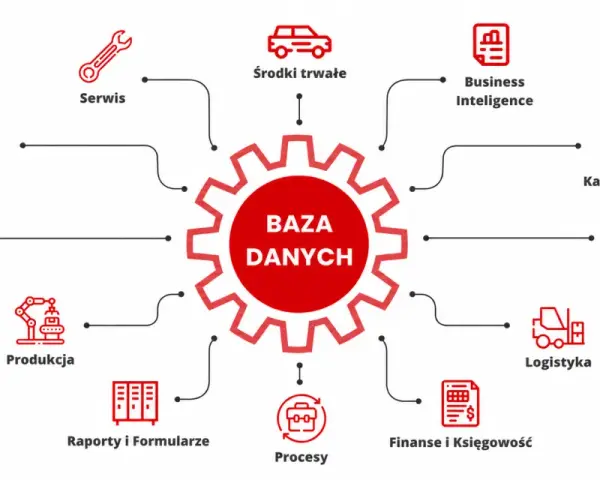 Centralna baza danych integruje hurtownię danych dla CRM, produkcji, logistyki, finansów, kadr, magazynu i innych.