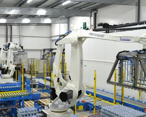 Nowoczesny magazyn automatyczny z robotami przemysłowymi. Taśmociągi i palety z produktami.