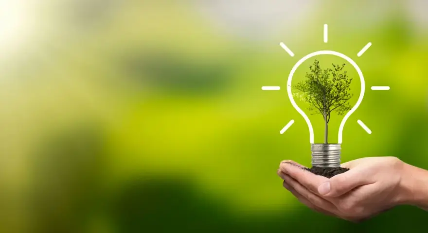 Dłoń trzyma żarówkę z drzewem w środku, symbolizującą zieloną energię. To jakby falownik co to jest, ale dla natury.