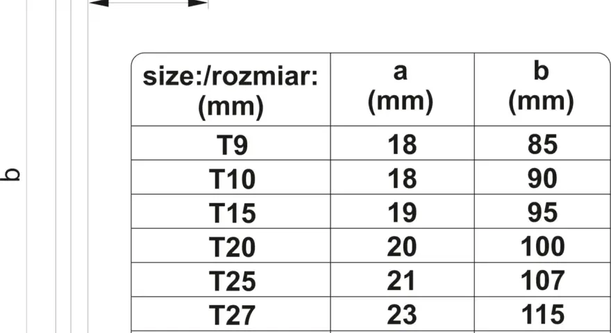 Tabela z różnymi rodzajami kluczy torx, od T9 do T40, wraz z ich wymiarami.