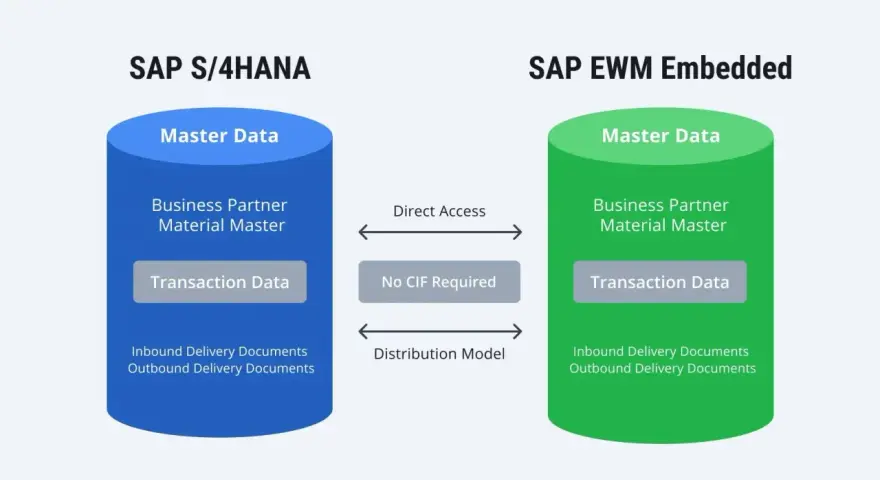 Porównanie SAP S/4HANA i SAP EWM Embedded: dane główne, transakcyjne i dokumenty dostaw. SAP BW zintegrowane.