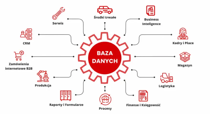 Centralna baza danych integruje hurtownię danych dla CRM, produkcji, logistyki, finansów, kadr, magazynu i innych.